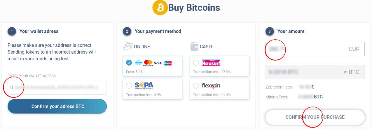 ZeBitcoin payment step